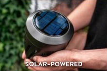Load image into Gallery viewer, Skeeterhawk - Solar Torch Zapper
