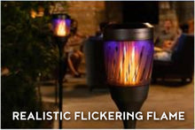 Load image into Gallery viewer, Skeeterhawk - Solar Torch Zapper
