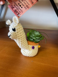llama succulent planter Llama Succulent