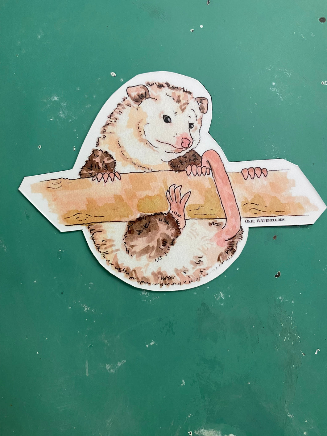 Magnet - Possum