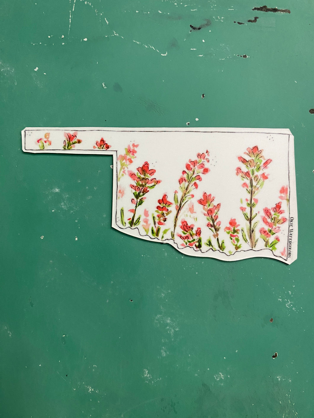 Magnet - Oklahoma - Indian Paintbrush