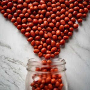 boston baked beans